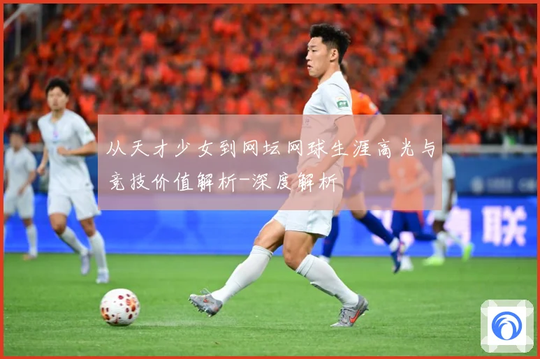 从天才少女到网坛网球生涯高光与竞技价值解析-深度解析
