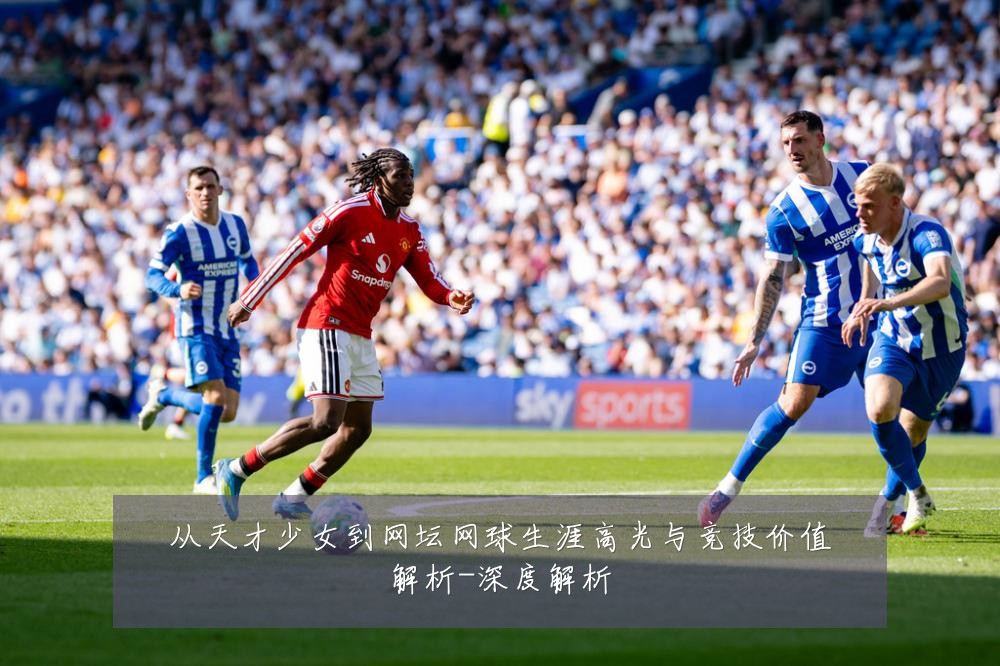 从天才少女到网坛网球生涯高光与竞技价值解析-深度解析